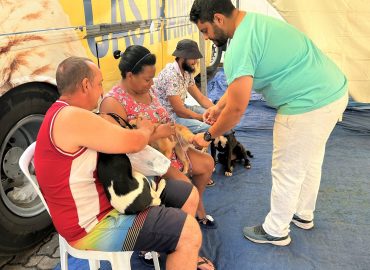 Cerca de 200 animais foram castrados no 1º Mutirão gratuito