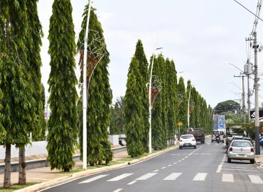 Decoração Natalina começa a ser instalada em espaços públicos de Olímpia