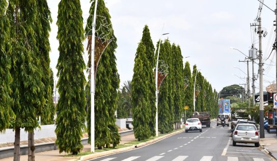 Decoração Natalina começa a ser instalada em espaços públicos de Olímpia