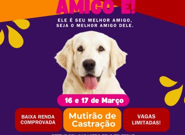 Meio Ambiente realizará 3º Mutirão de Castração para cães e gatos em março