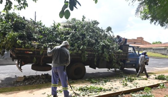 Prefeitura orienta população sobre o cronograma de poda e coleta de galhos